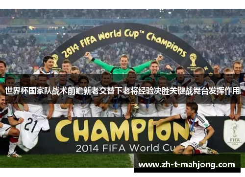世界杯国家队战术前瞻新老交替下老将经验决胜关键战舞台发挥作用