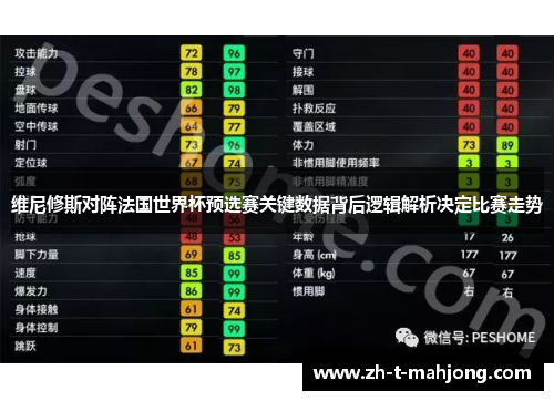 维尼修斯对阵法国世界杯预选赛关键数据背后逻辑解析决定比赛走势